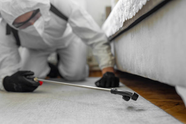 Professional Cockroach Control technician working in North Prairie, WI