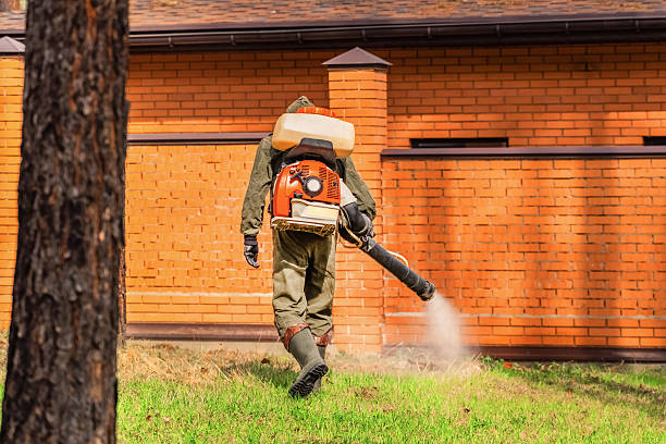 Trusted Rodent Control service in North Prairie, WI - Nex Pest Control